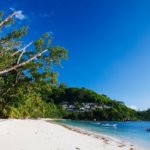 Lune de miel aux Seychelles : profiter de ses 3 principales îles